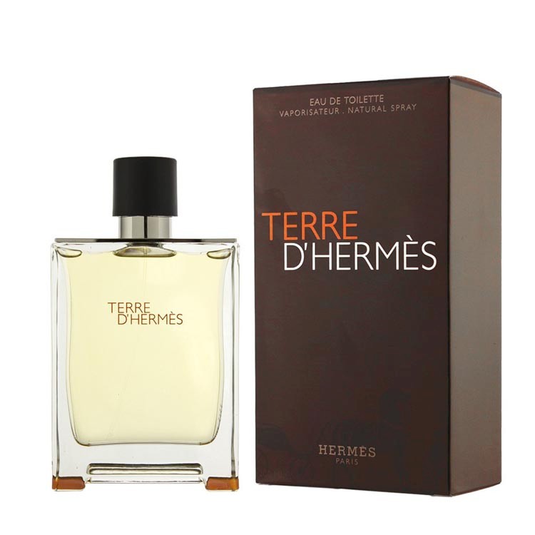 Hermes Terre d'Hermes EDT for men - 100ml